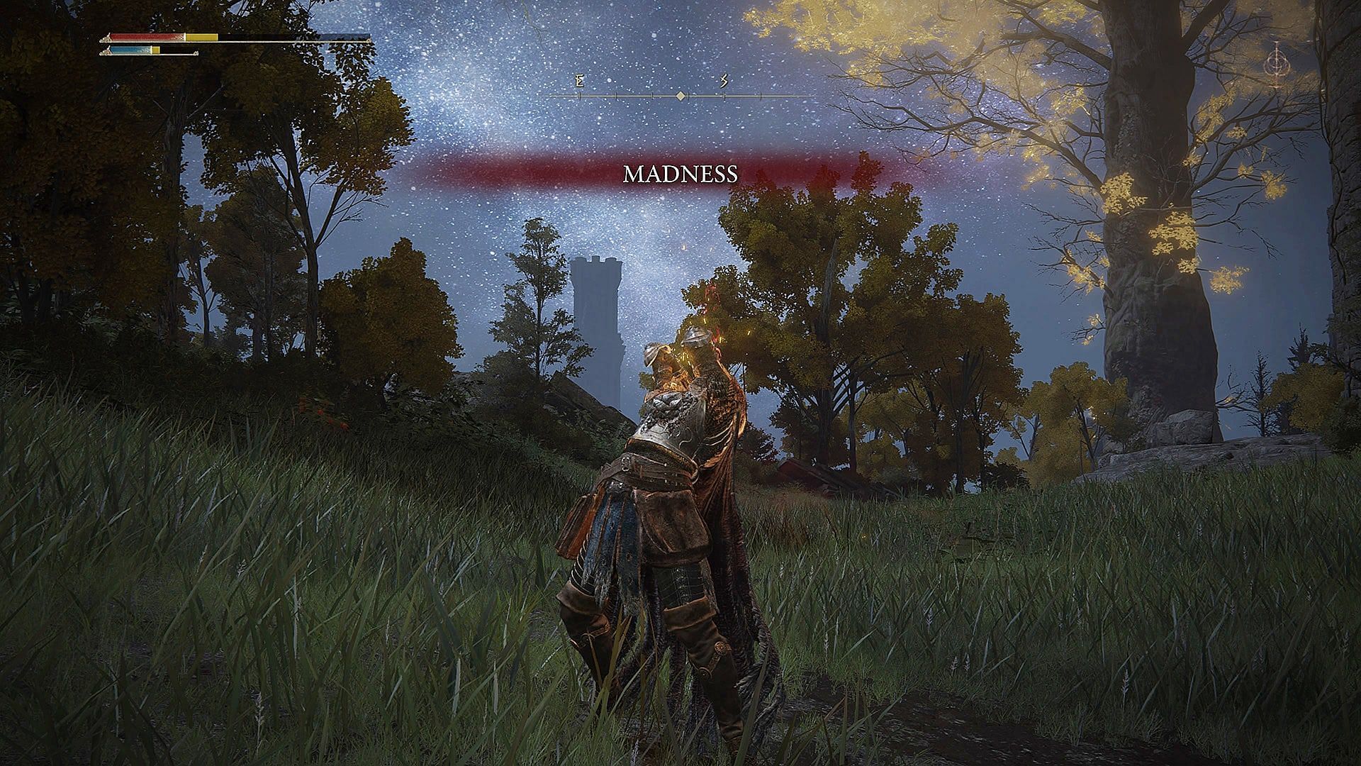 A player inflicted with Madness in Elden Ring (Image via From Software)