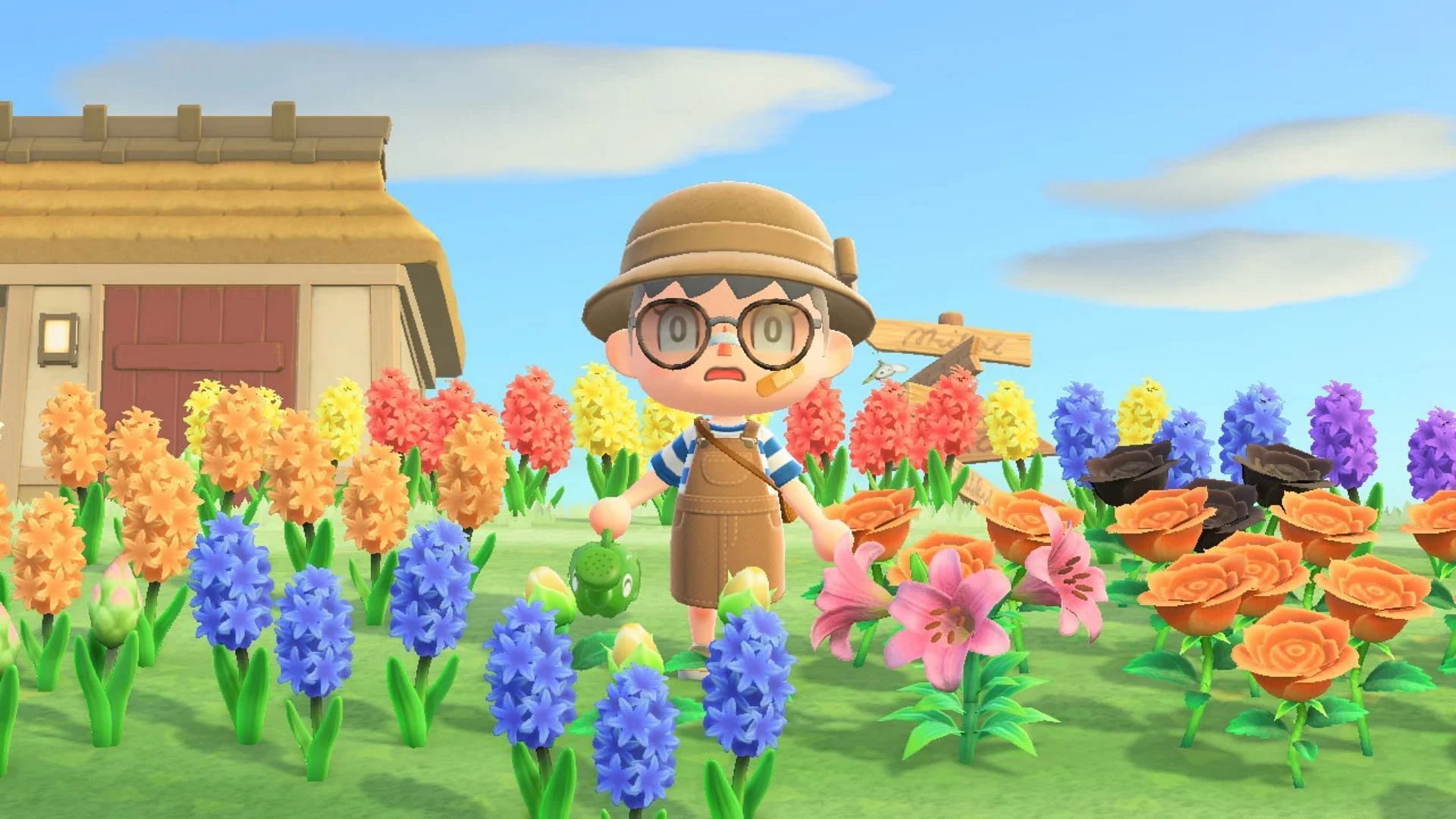 Animal Crossing: New Horizons players frequently face a problem of overflowing flowers on their islands (Image via Kotaku Australia)