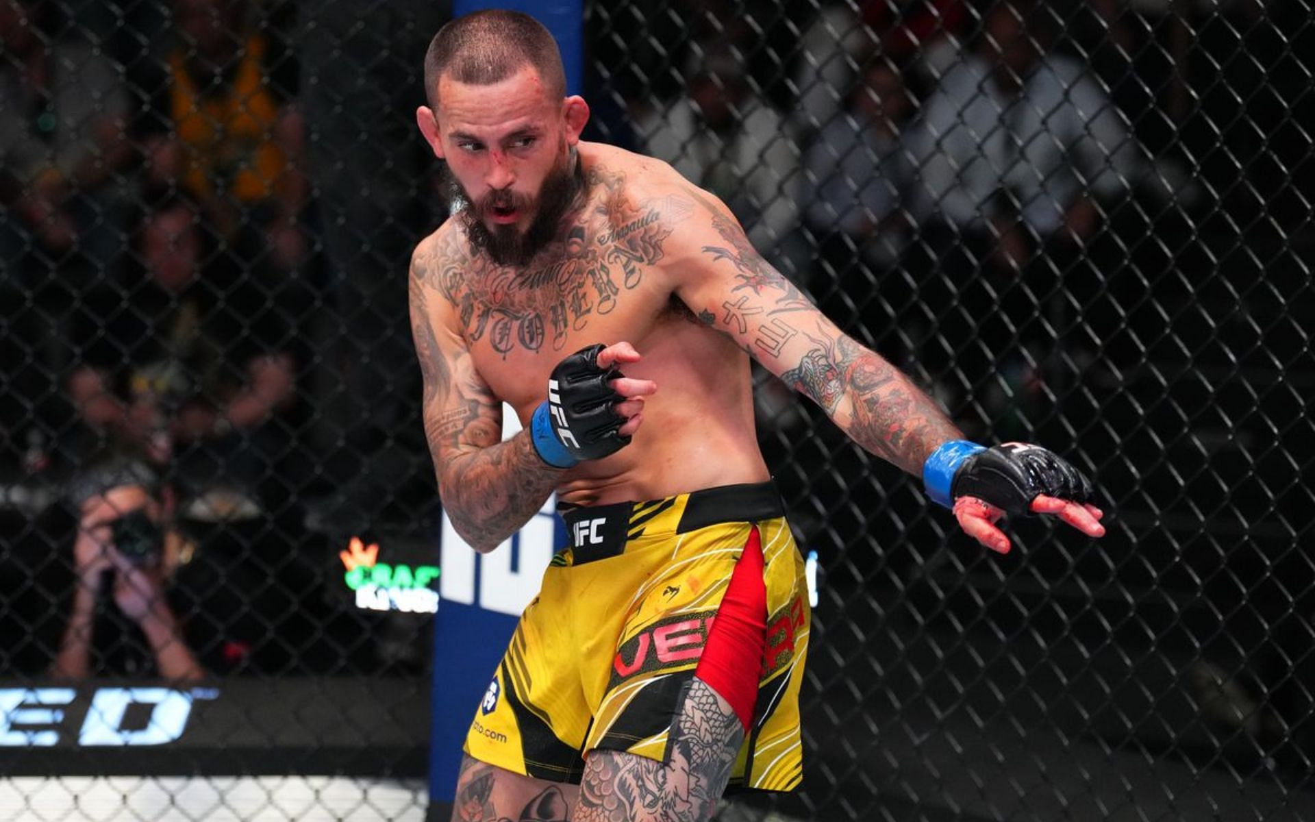 Eight years down the line, does anyone remember Marlon Vera&#039;s stint on the Ultimate Fighter?