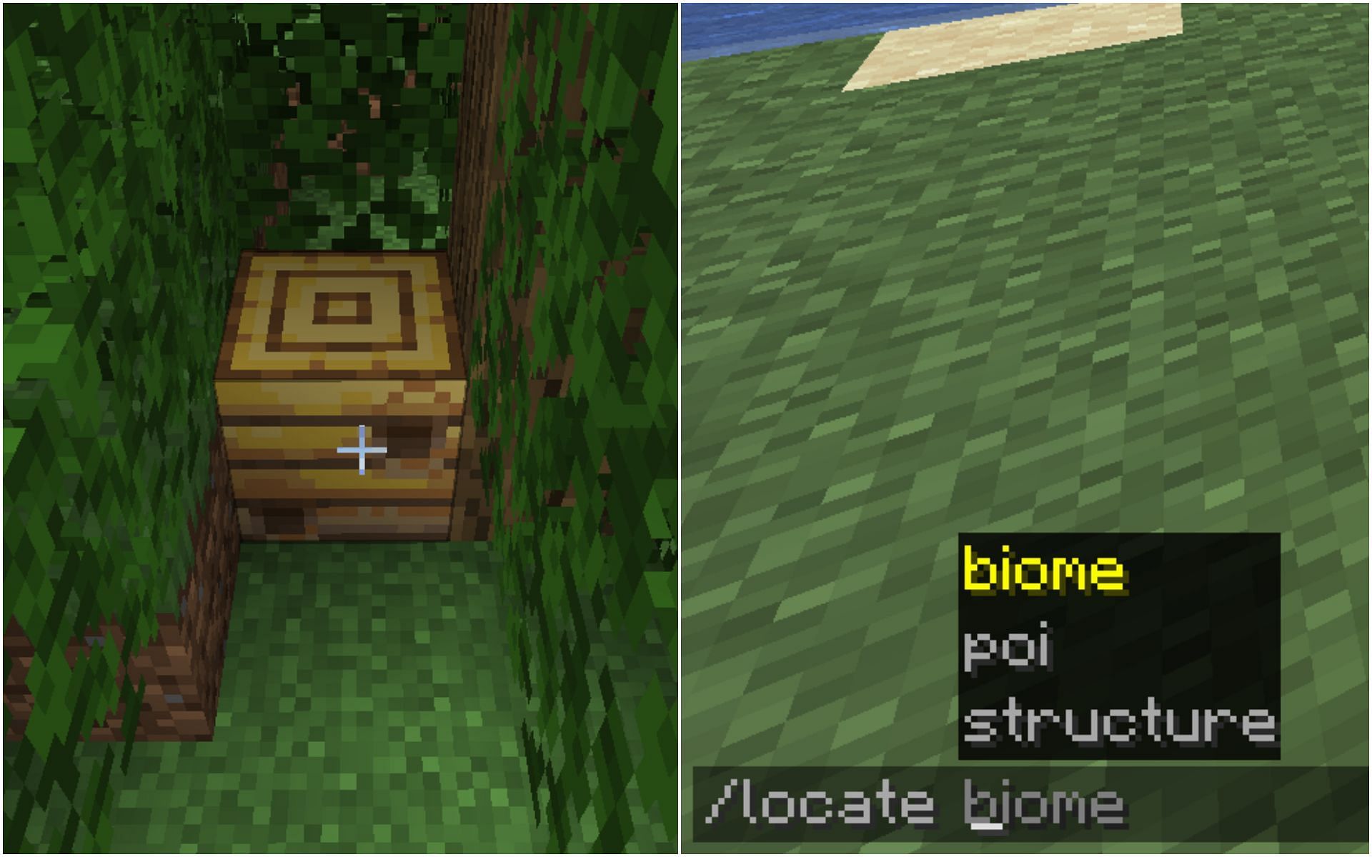 Players can now locate points of interest like beehives, villagers, and more (Image via Minecraft)