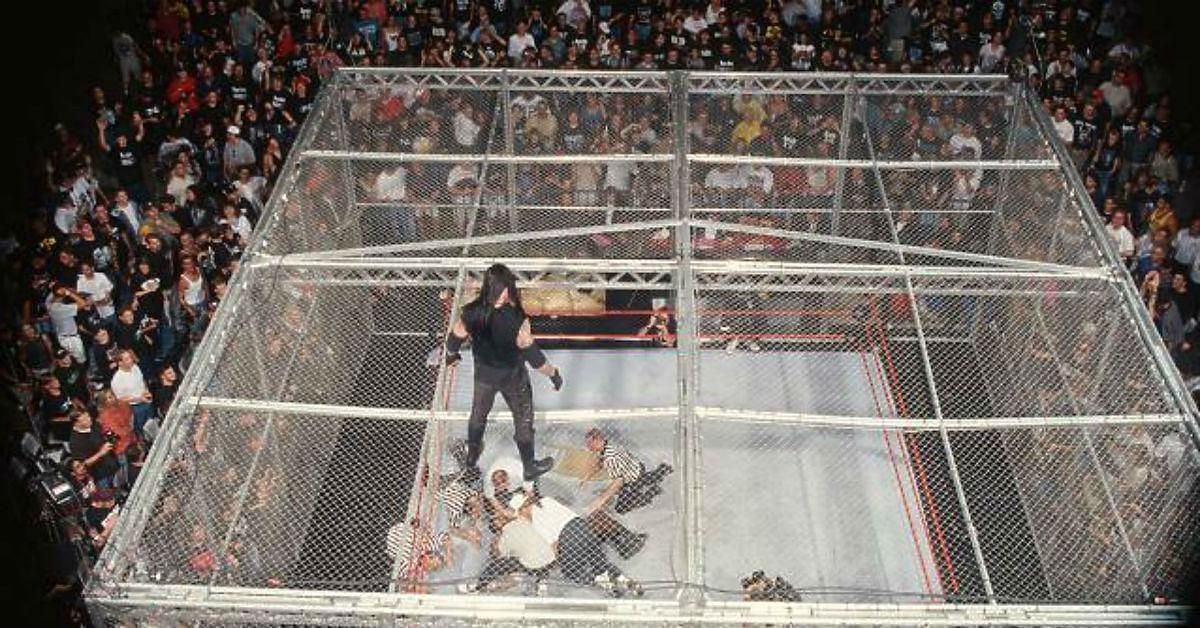 This picture just sums up what Hell in a Cell is all about