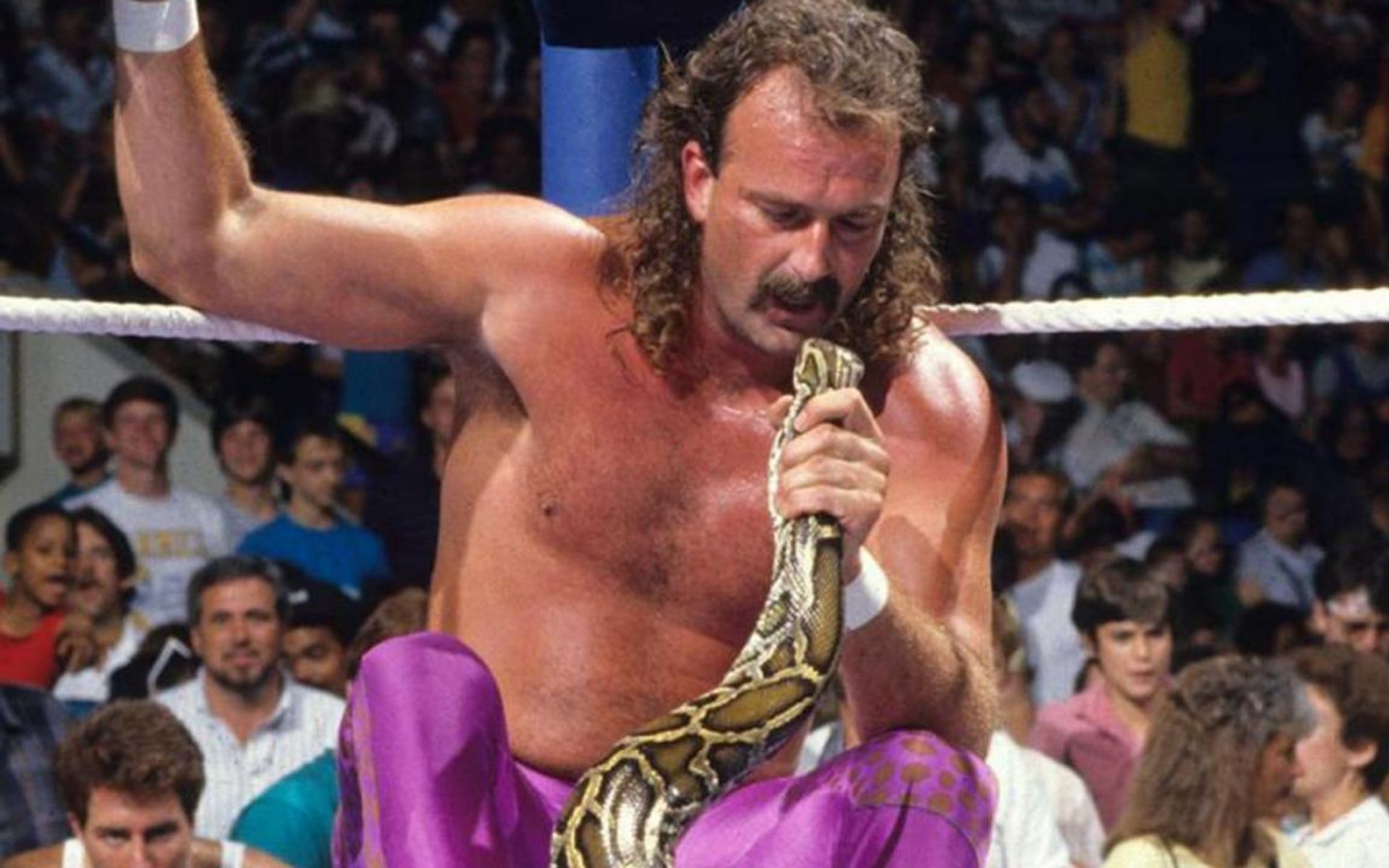 Jake Roberts was inducted into the WWE Hall of Fame as part of the 2014 class.