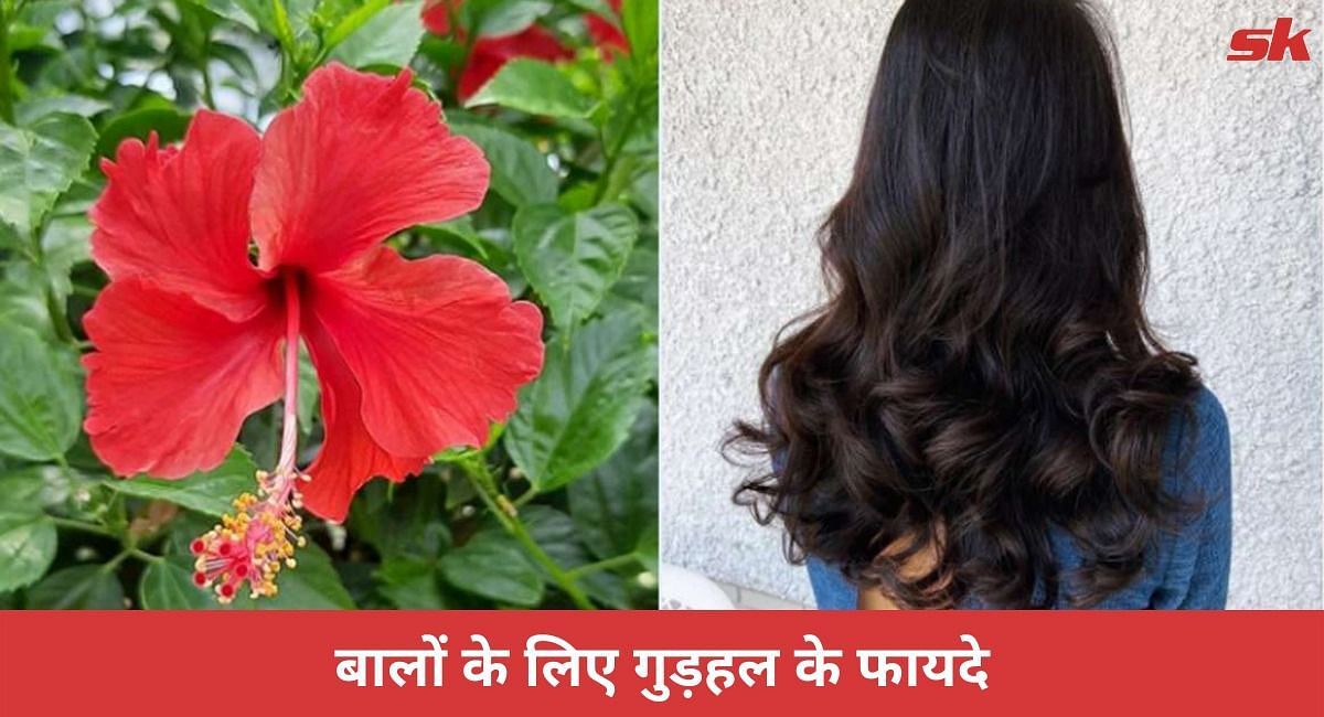 बालों के लिए गुड़हल के 6 फायदे ( Sportskeeda Hindi )