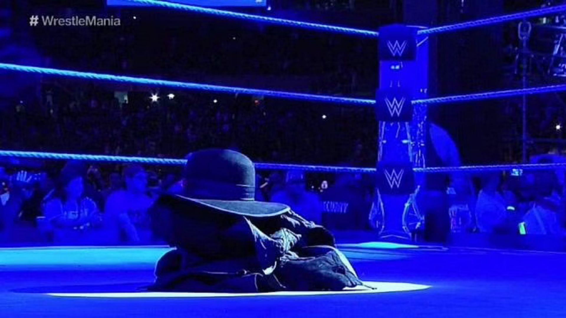 The WWE Universe believed that The Undertaker had retired after WrestleMania 33