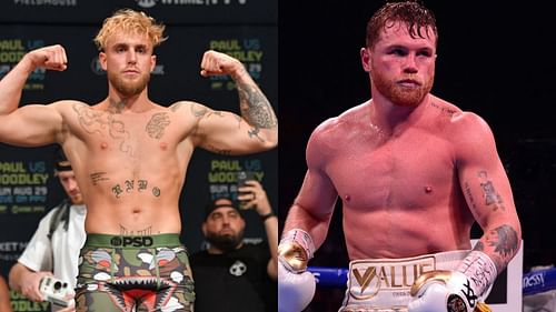 Jake Paul (left) and Canelo Alvarez (right)