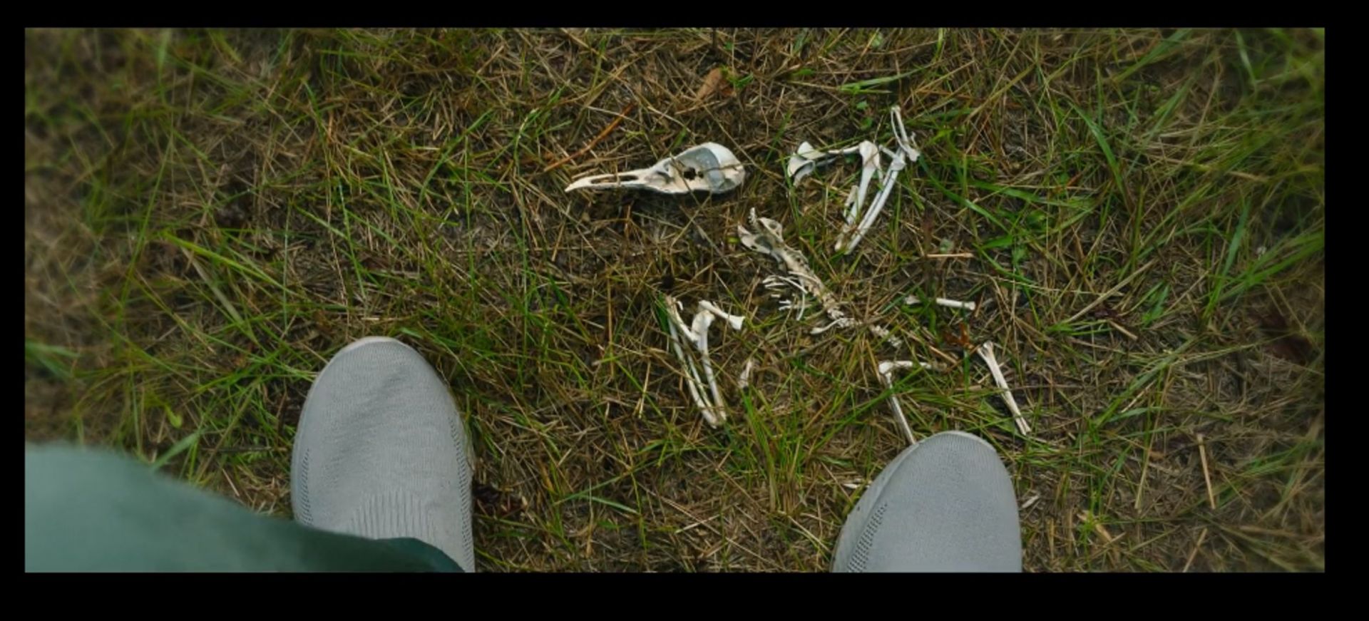 The crow skeleton in Episode 5 (Image via Marvel Studios)