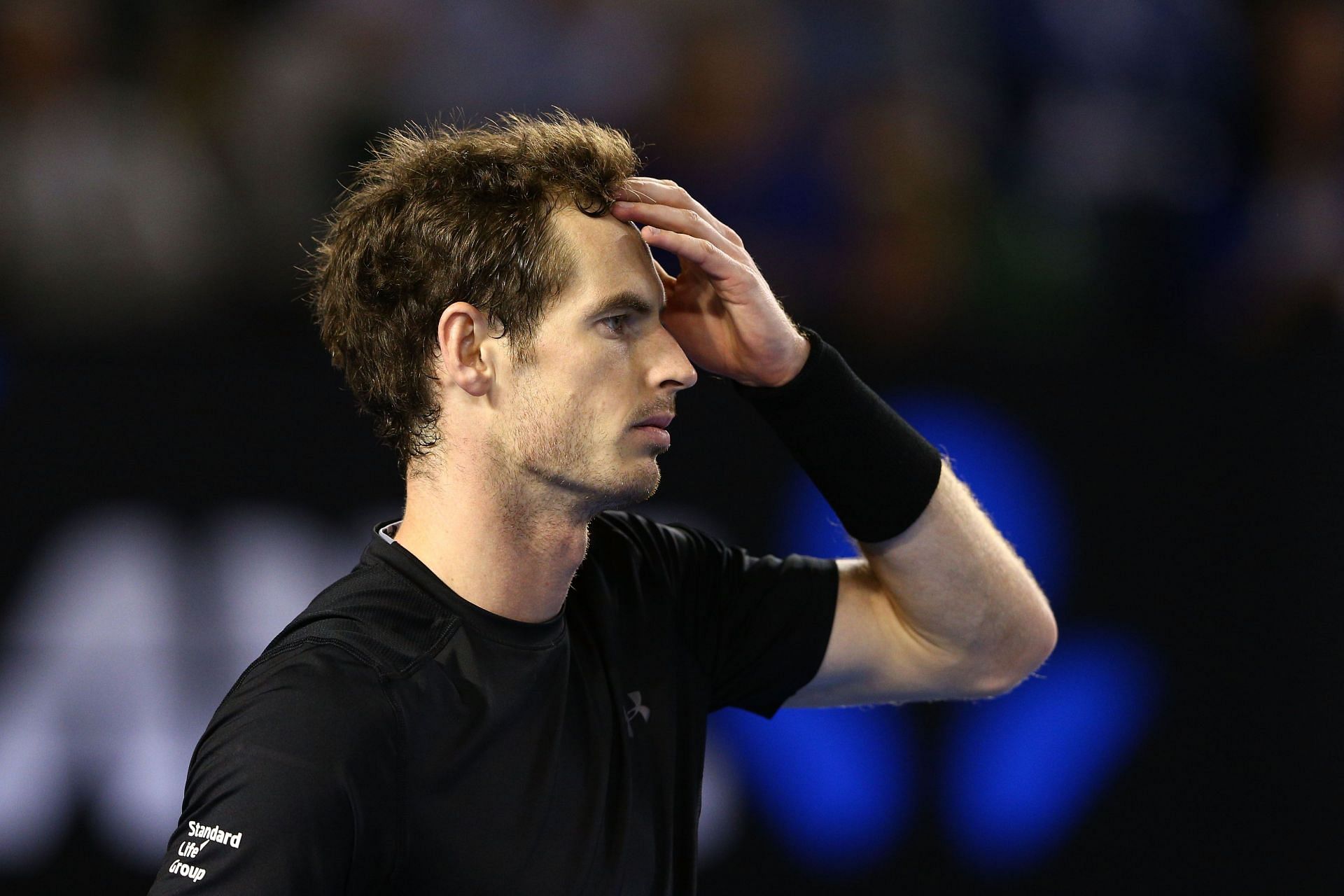 Andy Murray at the 2015 Australian Open