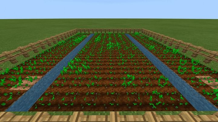 10 easiest starter farms to build in Minecraft