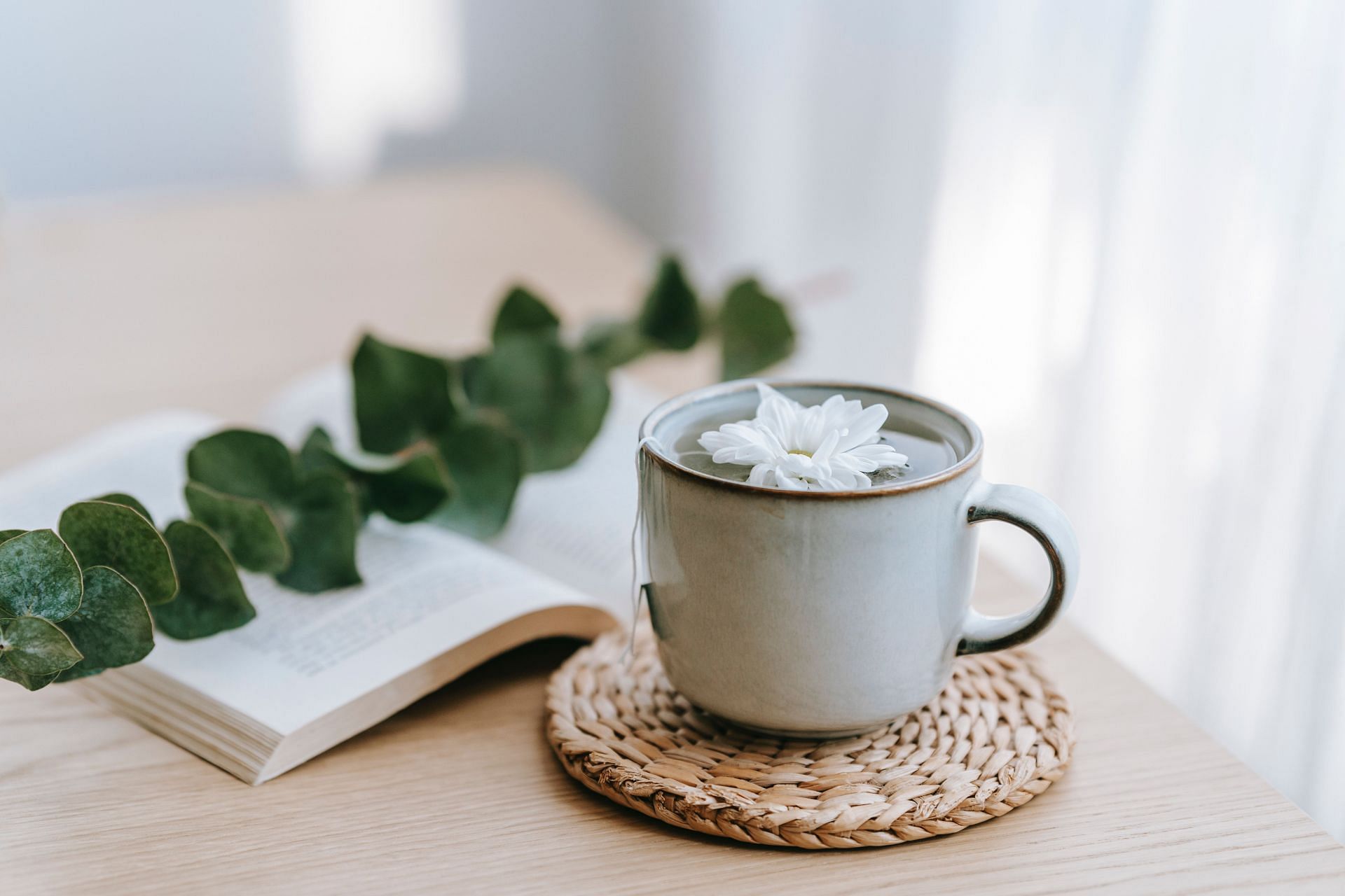 Eucalyptus tea has been suggested as a therapy for bronchitis and sore throat (Image via Pexels/Teona Swift)
