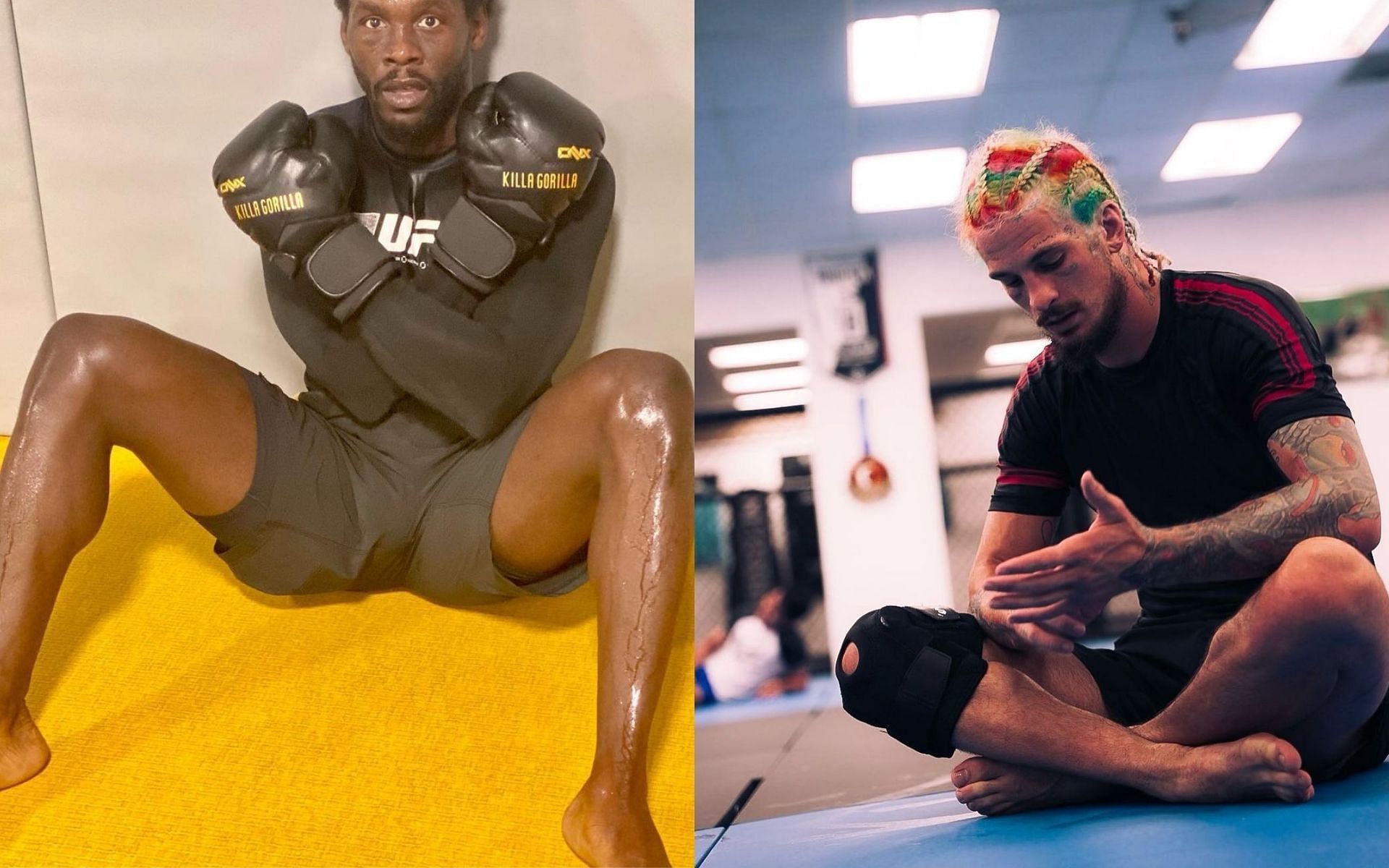 Jared Cannonier (Left), Sean O&#039;Malley (Right) Sources: @sugaseanmma, @killagorillamma via Instagram