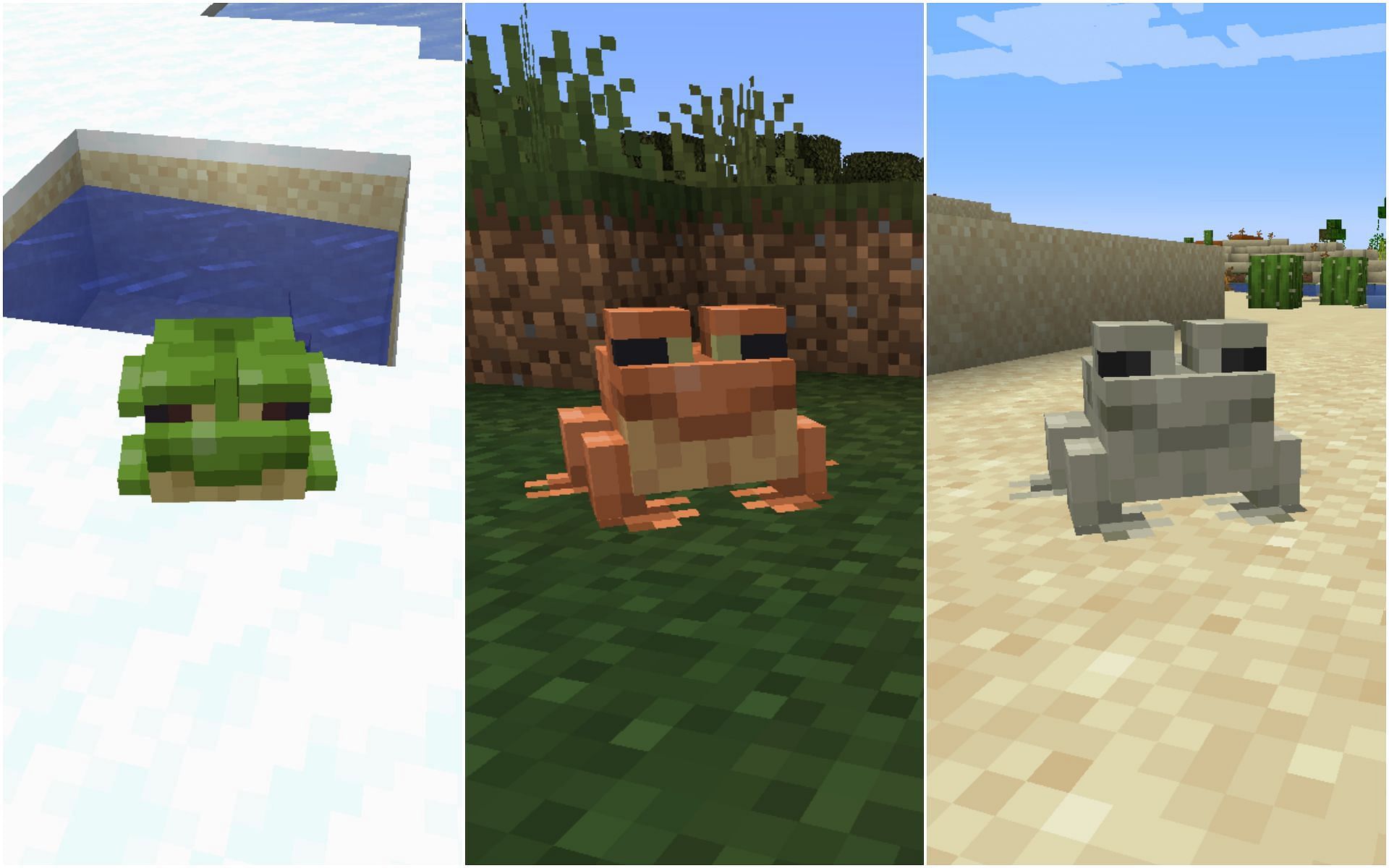 Different colored Frogs (Image via Minecraft)