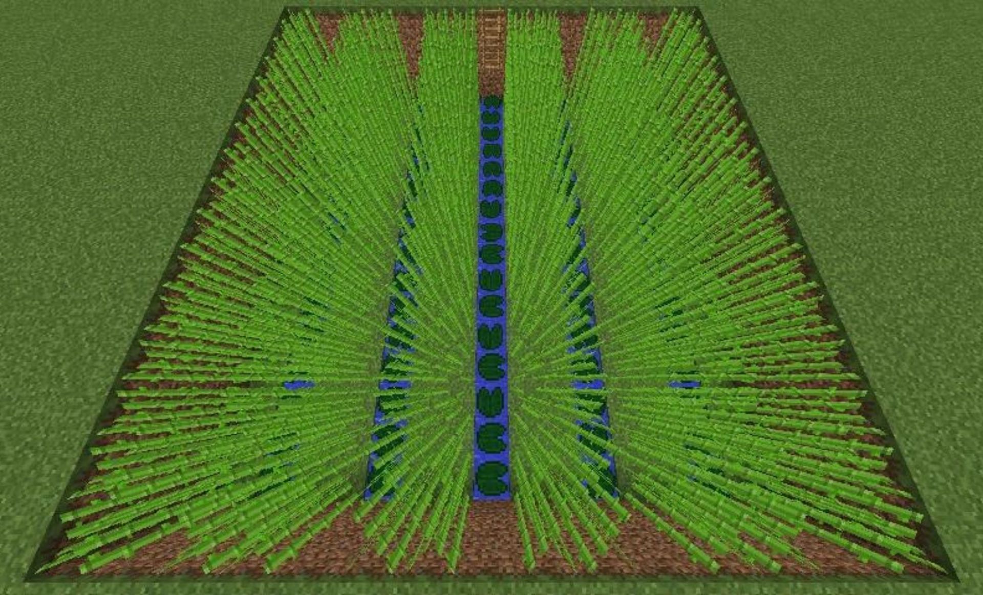 A sugar cane farm (Image via Minecraft Wiki)