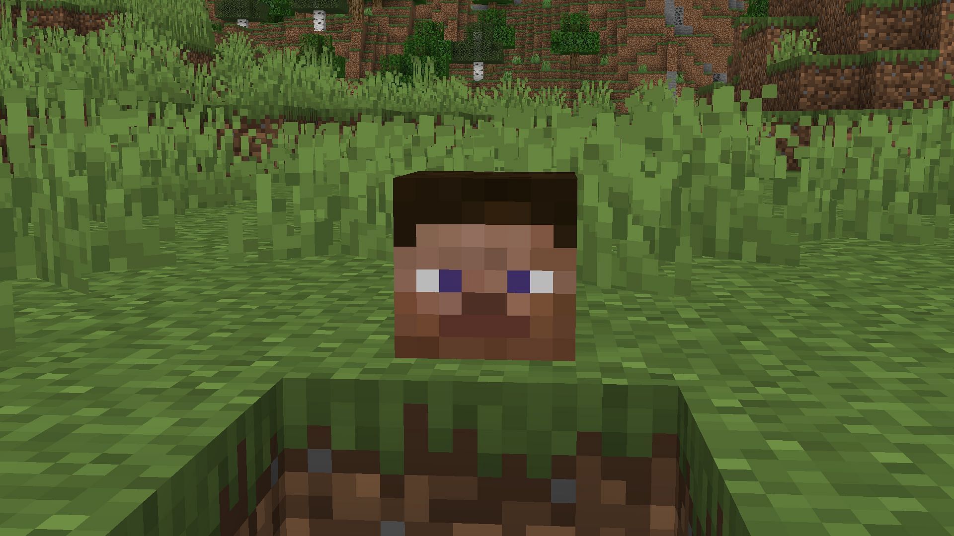 Steve head (Image via Minecraft)