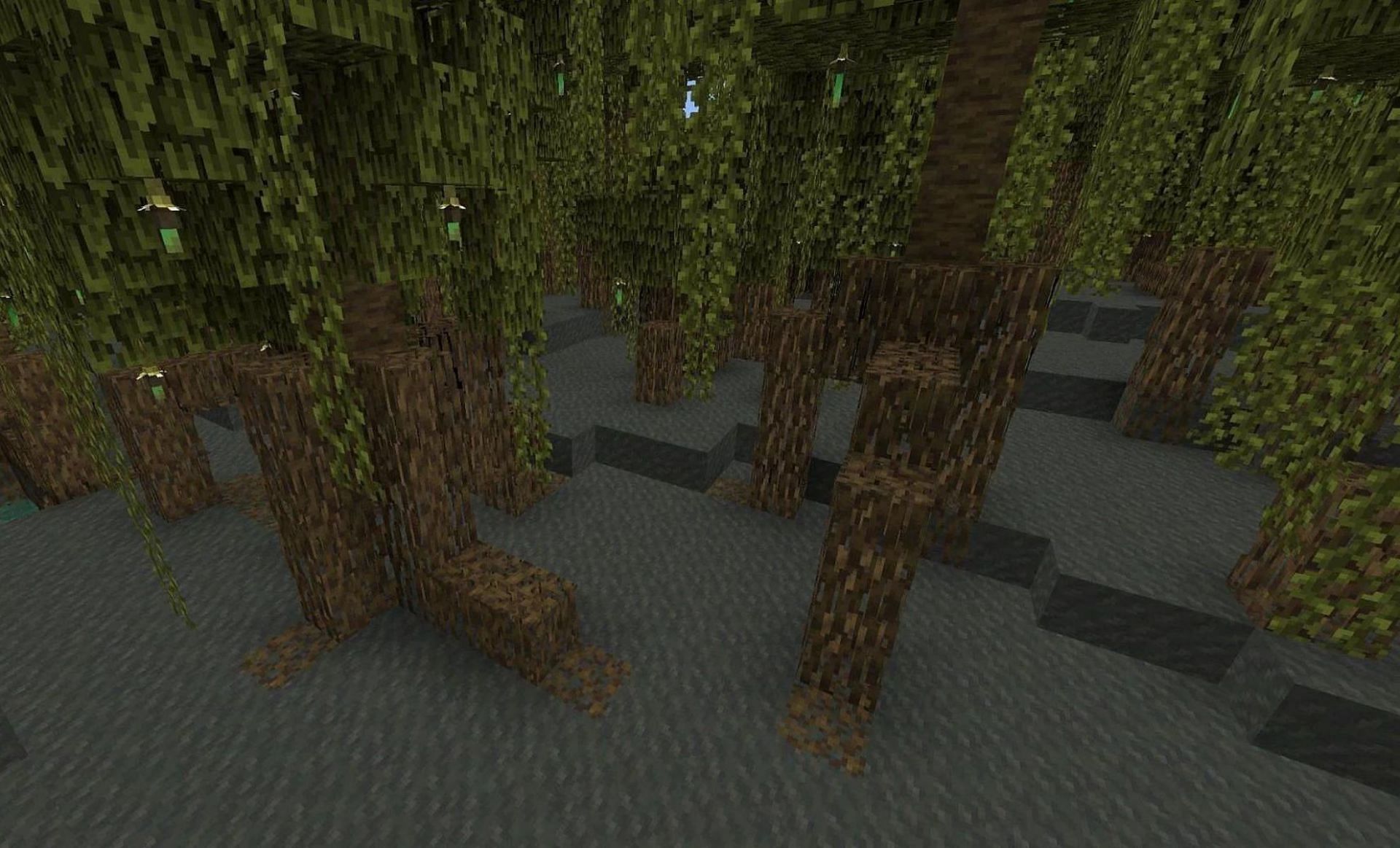 Mangrove Swamp biome (Image via Mojang)