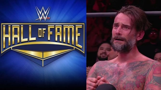 "Give me a freakin break" - WWE Hall of Famer addresses CM Punk's botch at Double or Nothing