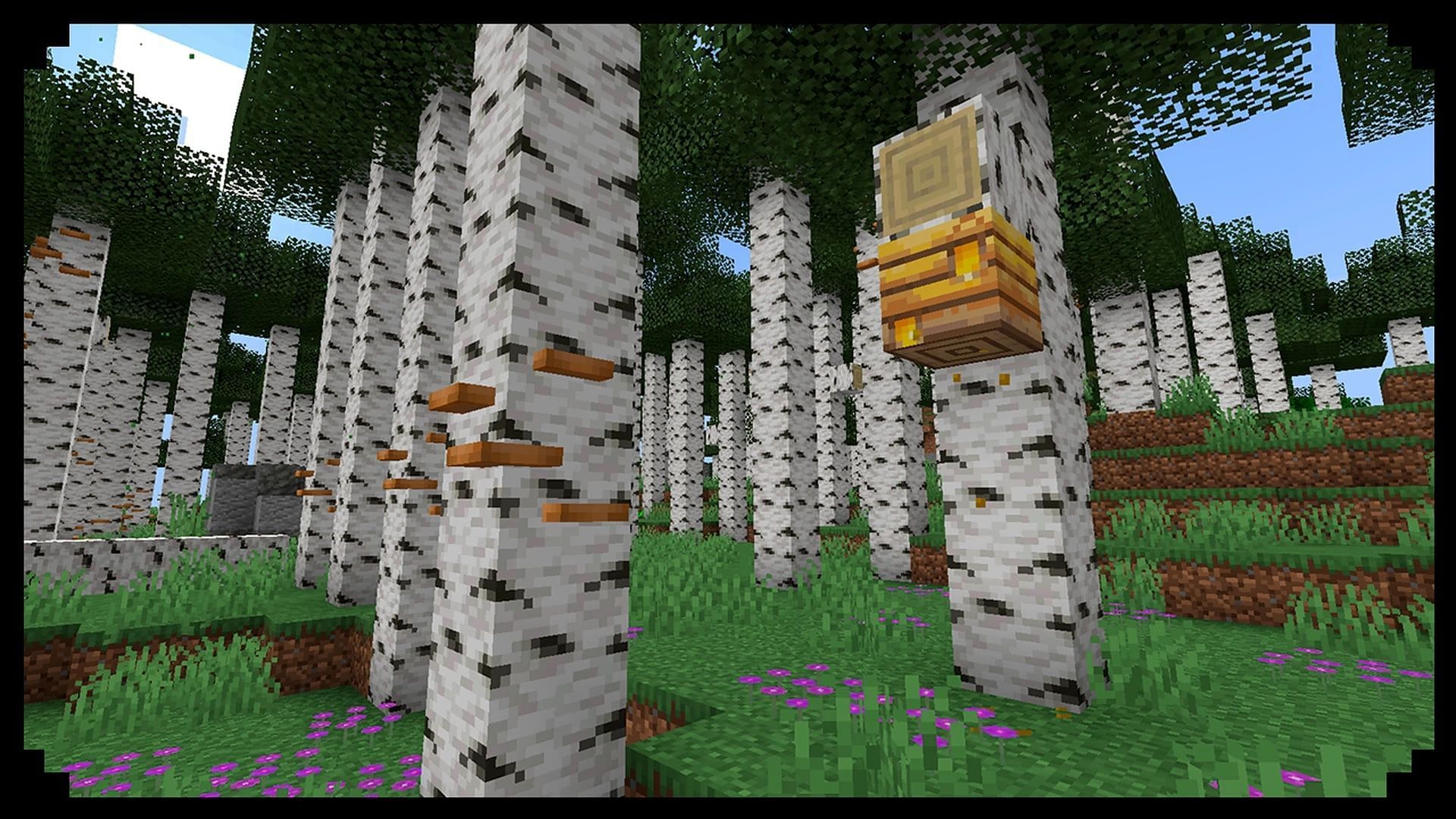 Concept datapack for the revamped biome (Image via SuperStroi/PlanetMinecraft)