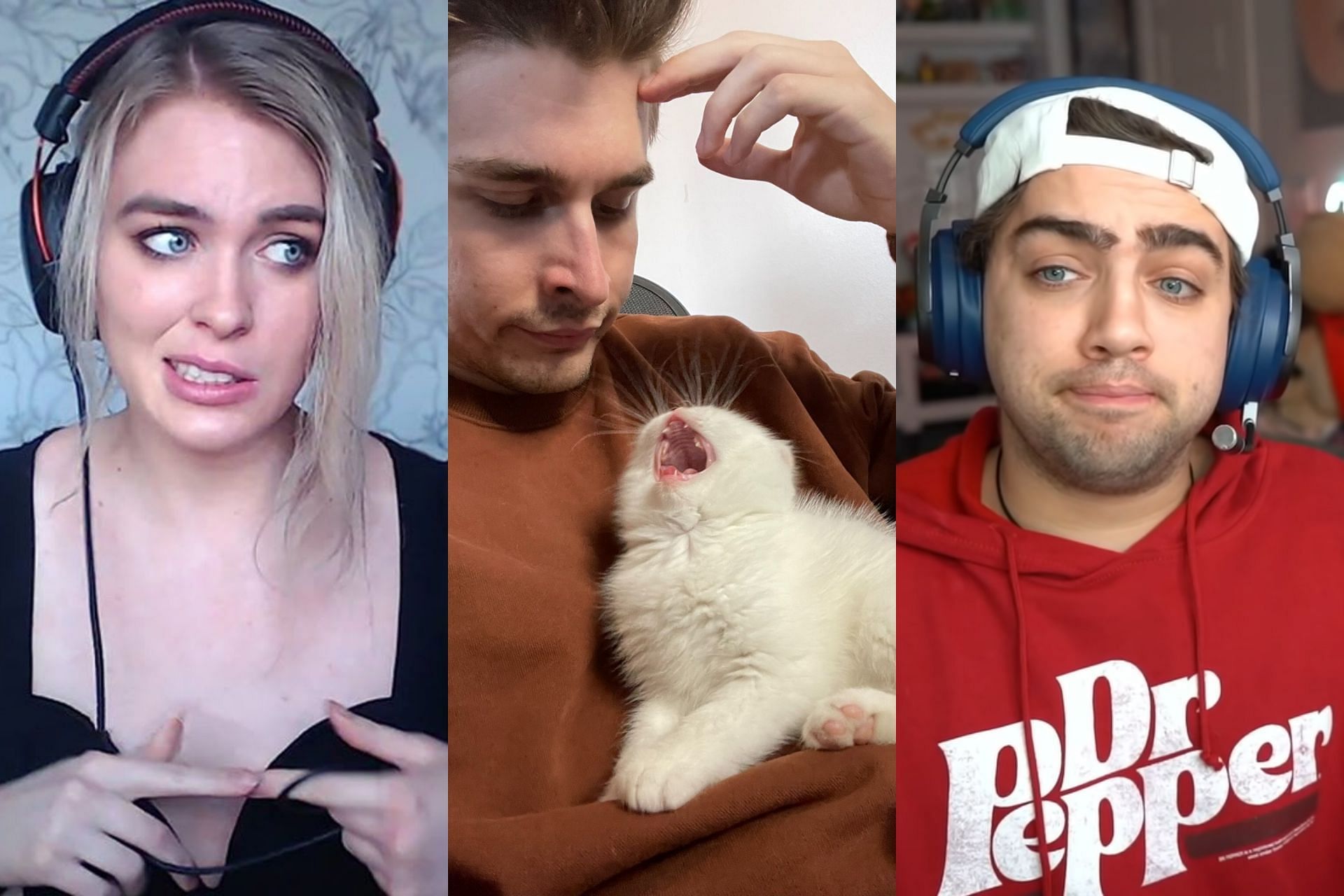 QTCinderella and Mizkif recently talked about Ludwig using her kitten in content (Image via Sportskeeda)