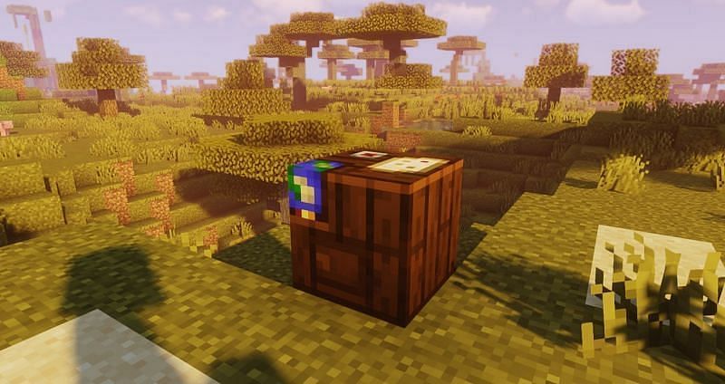 The cartography table has a nice look to it (Image via Minecraft)