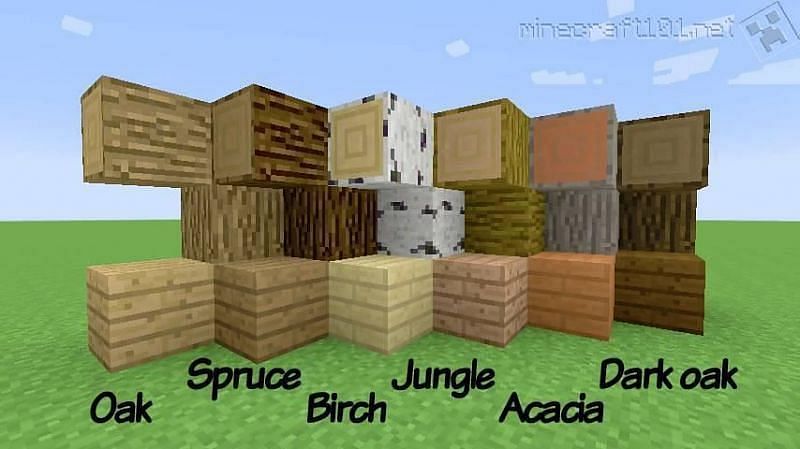 Minecraft Logs