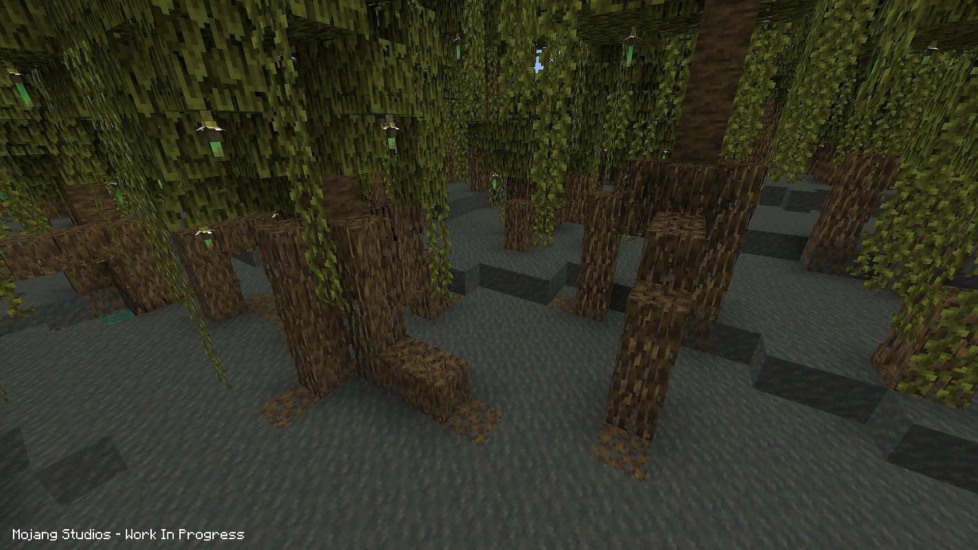 Mangrove Swamp biome (Image via Mojang)