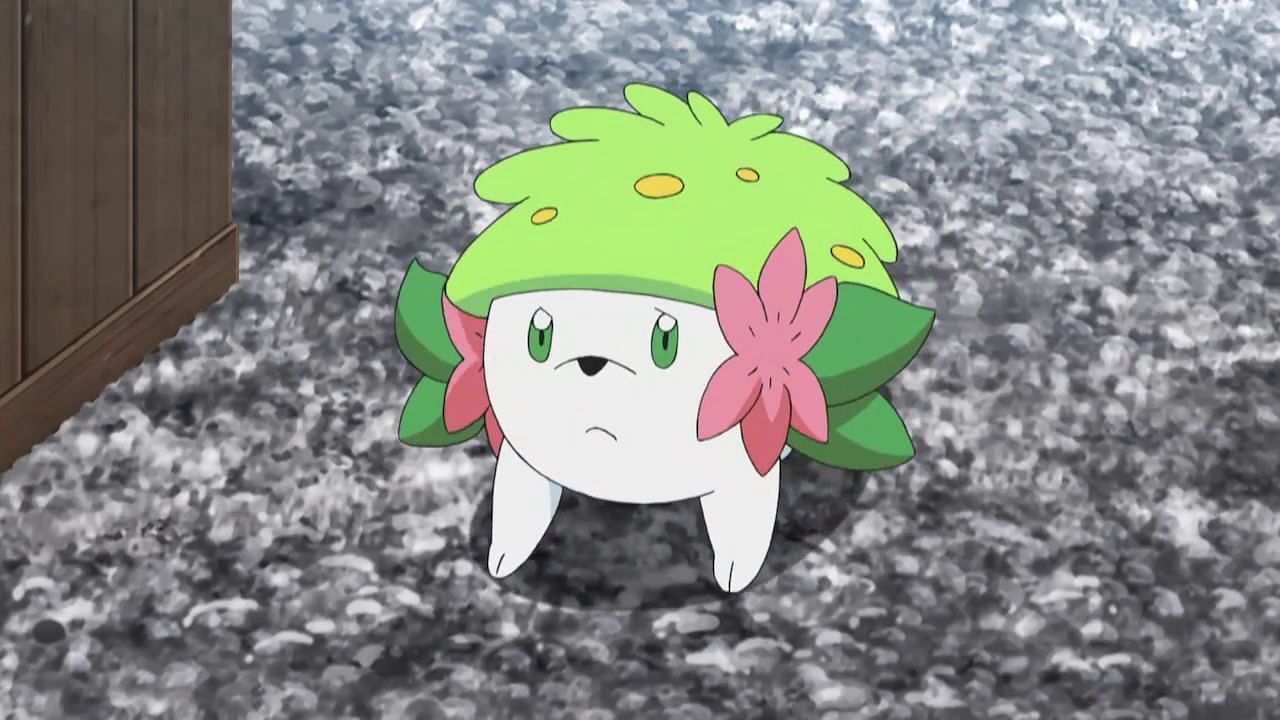 Shaymin&#039;s Land Form as it appears in the anime (Image via The Pokemon Company)