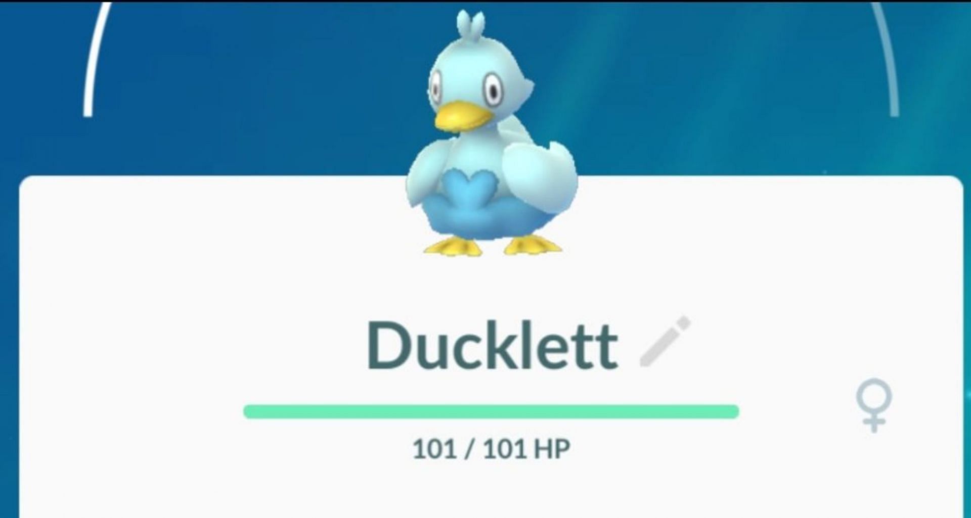 Ducklett as it appears in Pokemon GO (Image via Niantic)