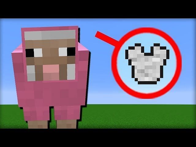 Full List Of Passive Mobs In Minecraft 2022