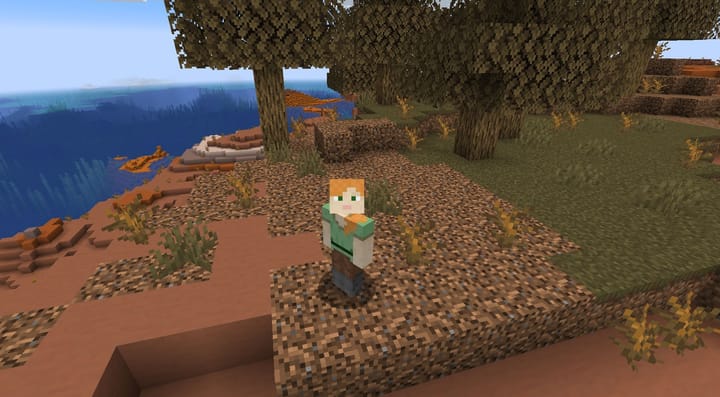 Path Examples Minecraft What does coarse dirt do in Minecraft?
