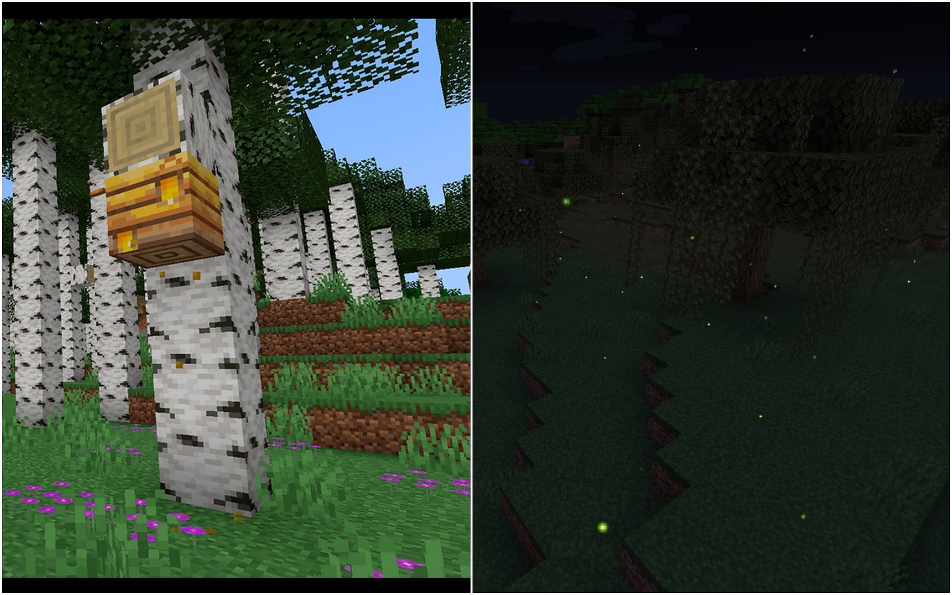 Mods for both the features (Image via PlanetMinecraft &amp; CurseForge)