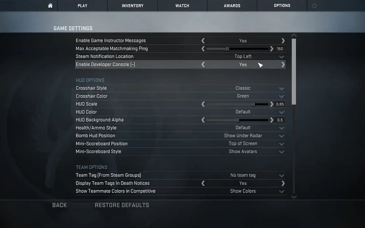 Enable the Developer Console to set keybinds in CS: GO (Image via Valve)