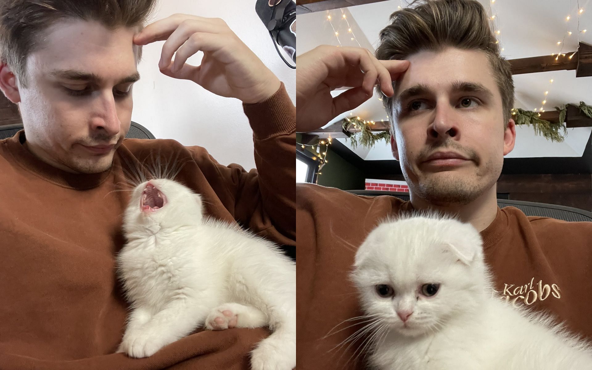 Ludwig names his new cat on stream (Image via LudwigAhgren/Twitter)