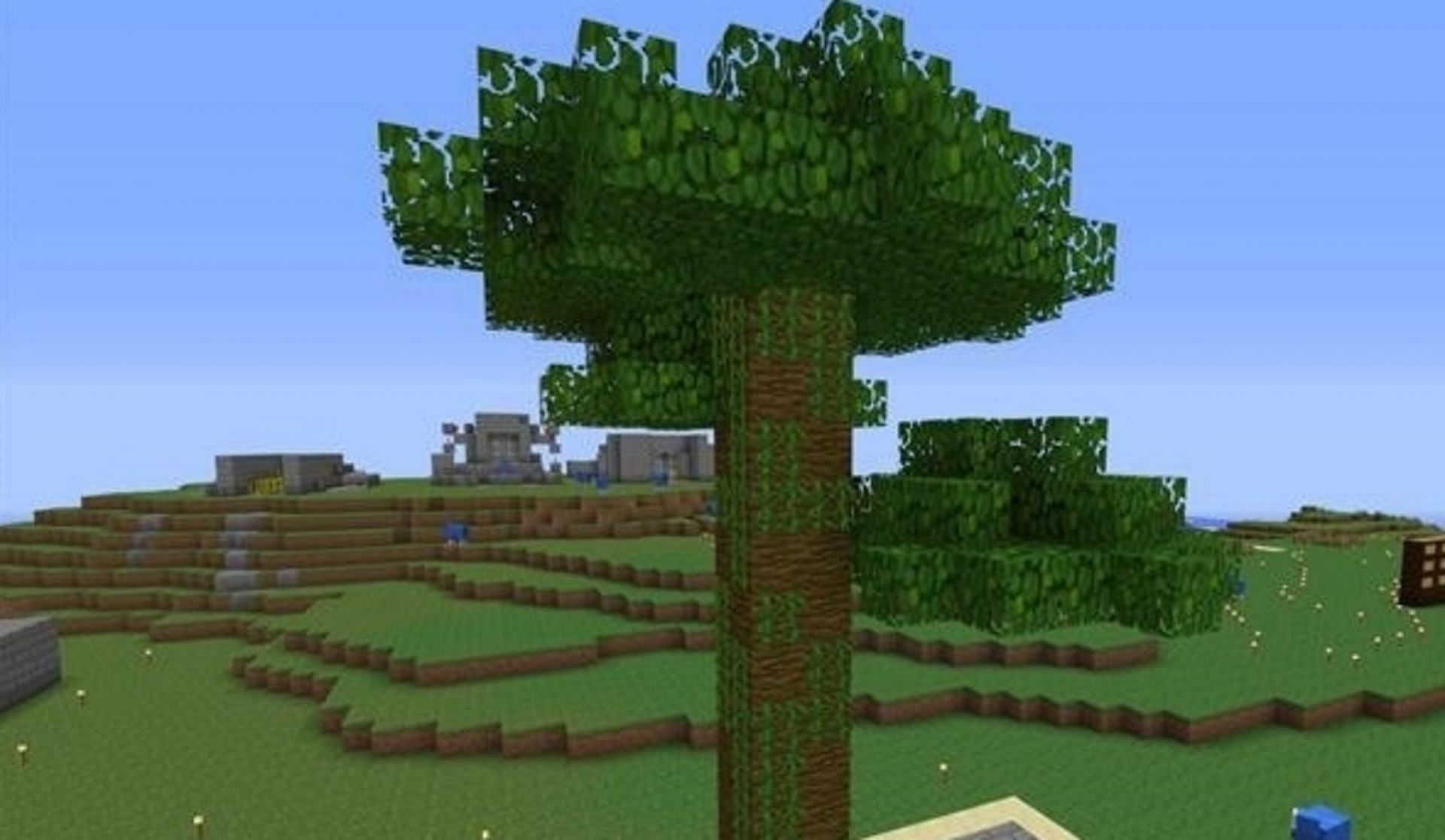 Jungle trees can reach considerable heights on their own (Image via Mojang)