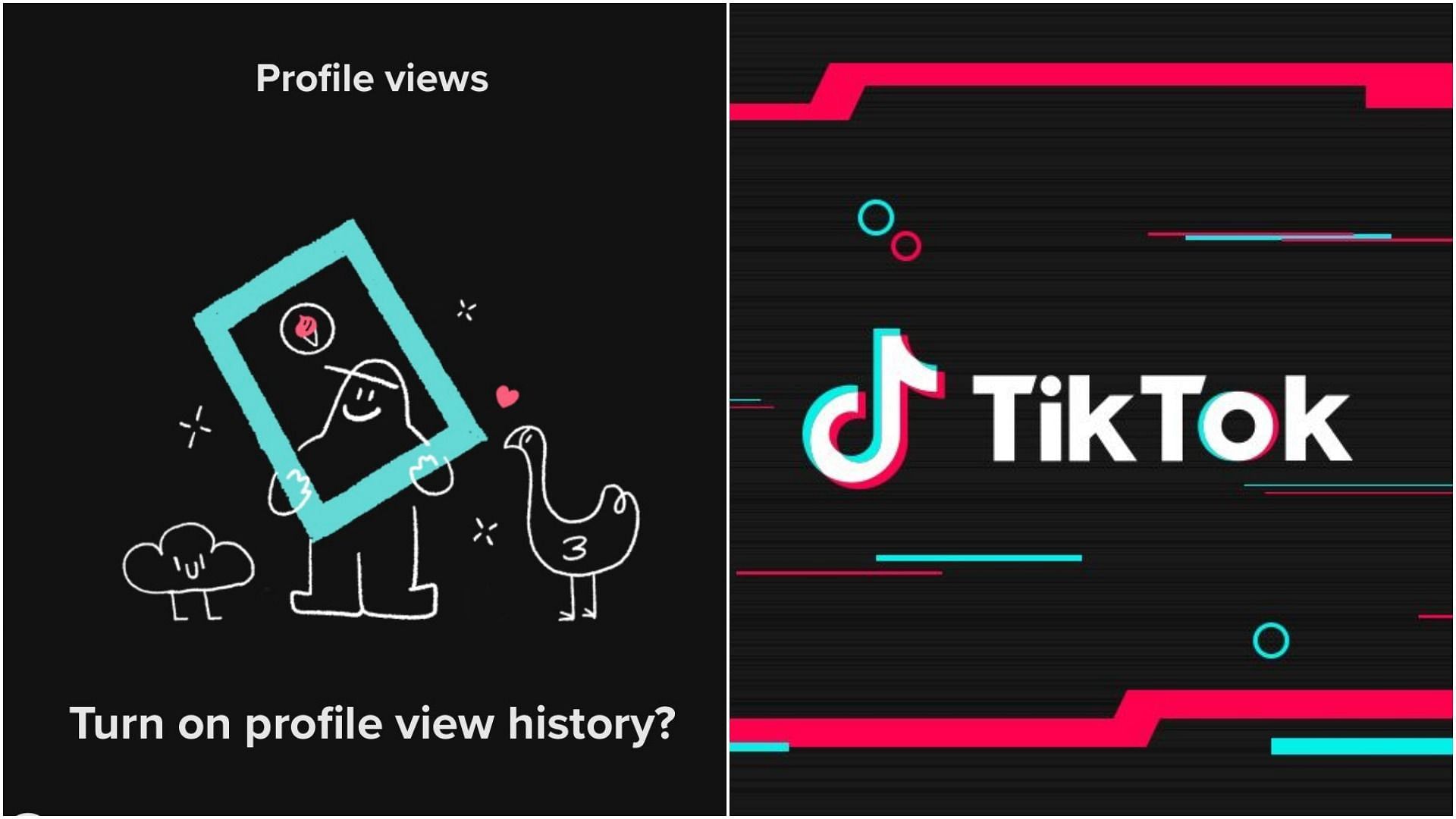 TikTok added the profile view history feature early this year (Image via @thomahaver/Twitter and TikTok/Facebook)