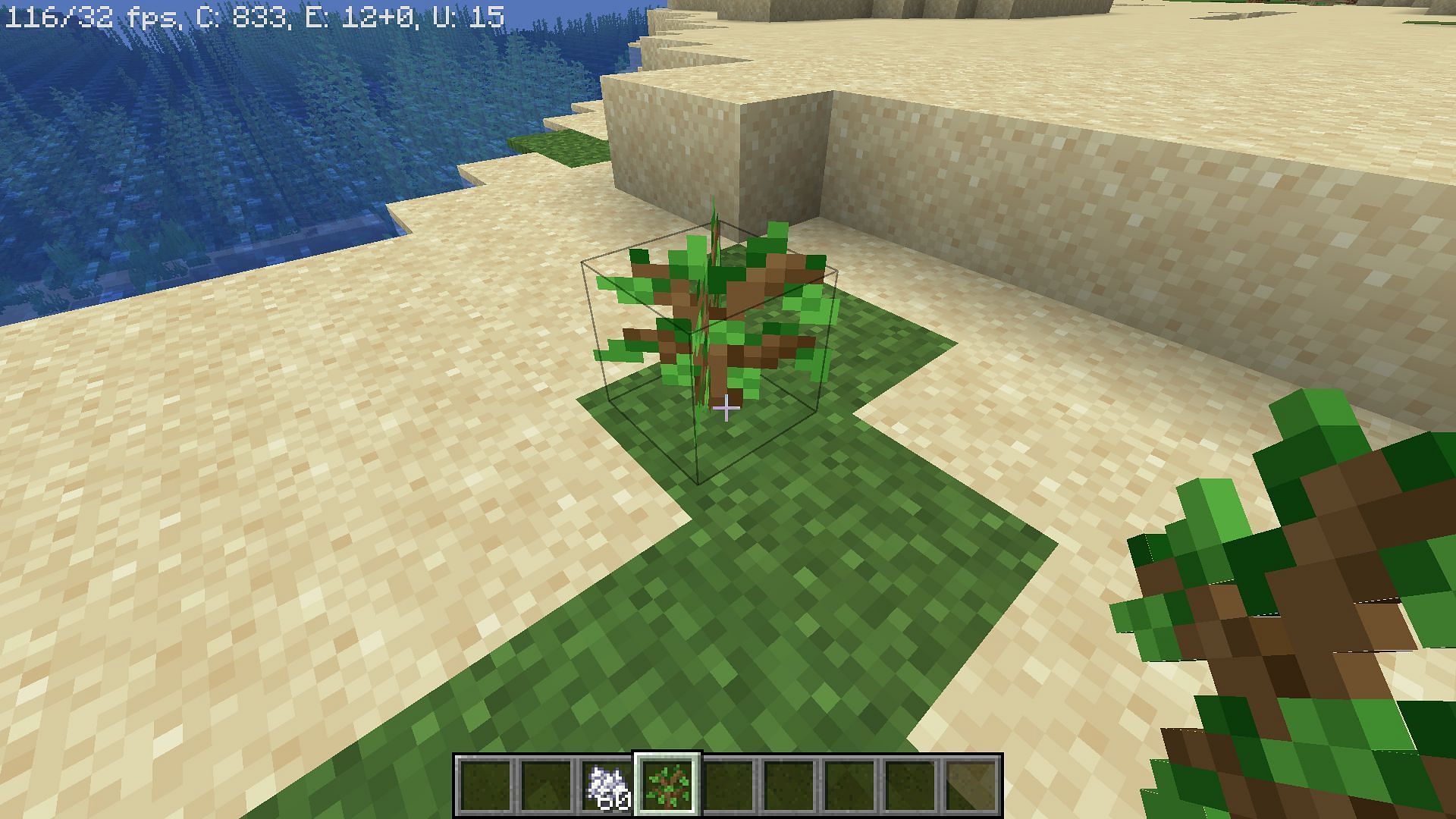 Sapling should be on dirt or grass block, directly under the sky and have space to grow (Image via Minecraft)