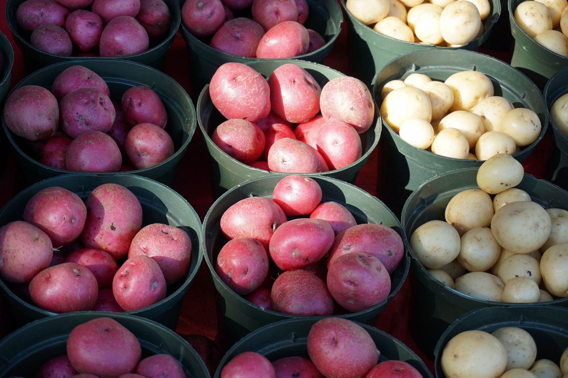 Potatoes are loaded with magnesiumand other nutrients. (Image via Pexels / Lawrence Aaron)