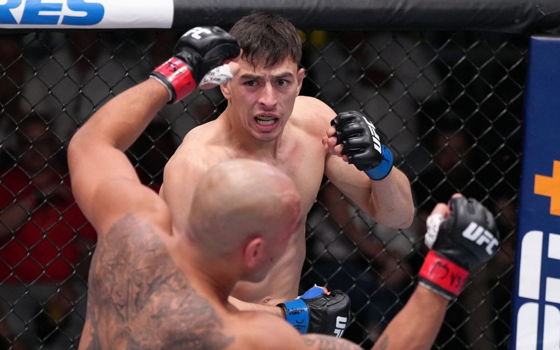 Manuel Torres made an explosive UFC debut by knocking out Frank Camacho