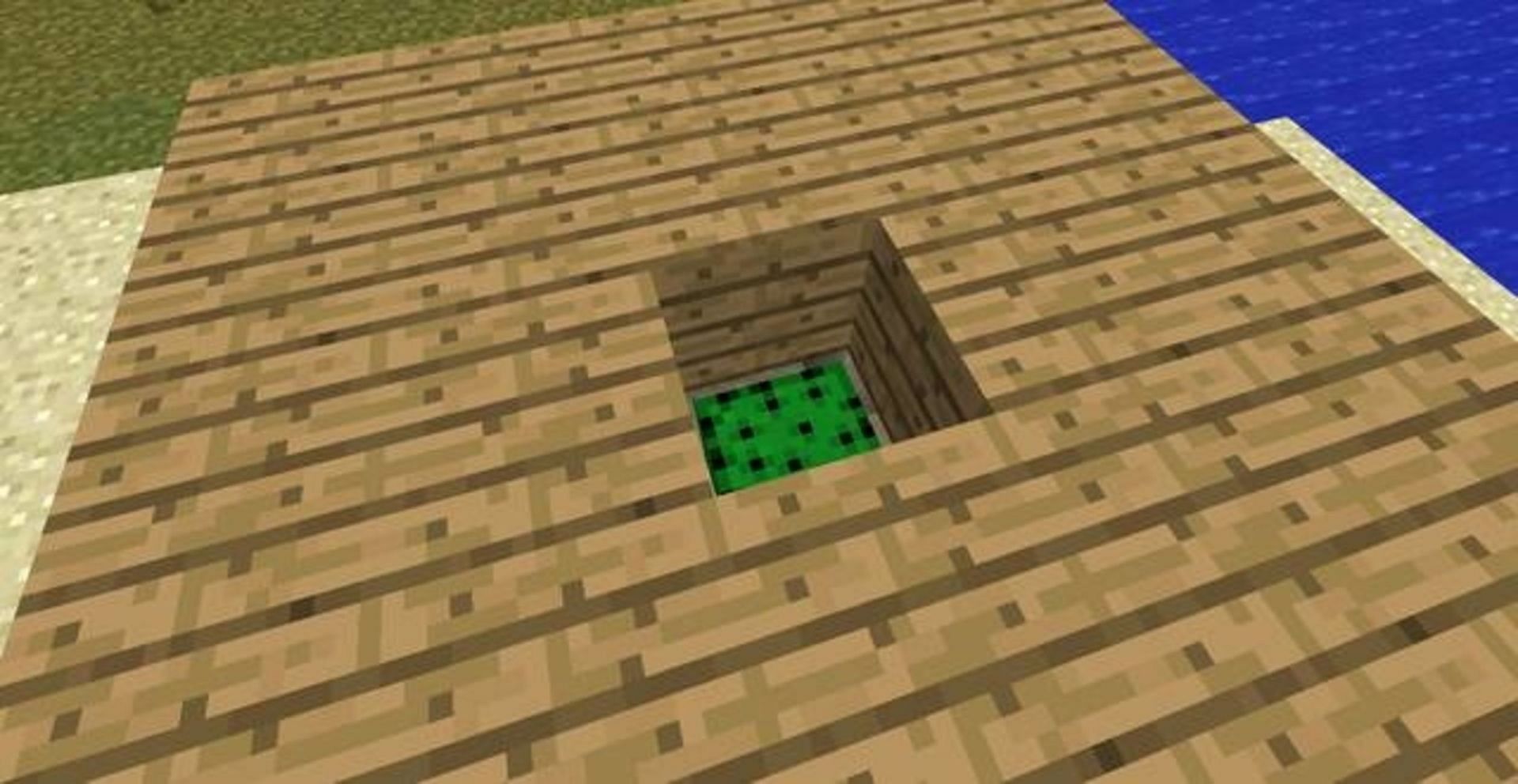 Cactus can destroy items that touch it (Image via Mojang)