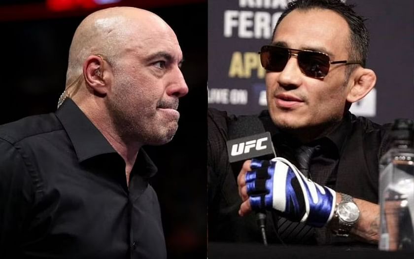 Joe Rogan and other UFC commentators blasted by Tony Ferguson for ...