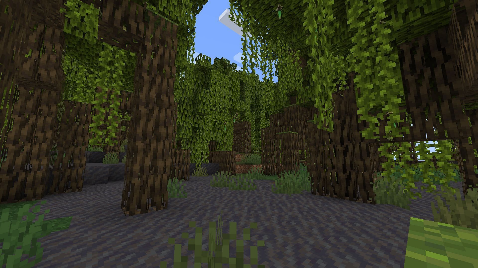 Mangrove Trees are reduced (Image via Mojang)