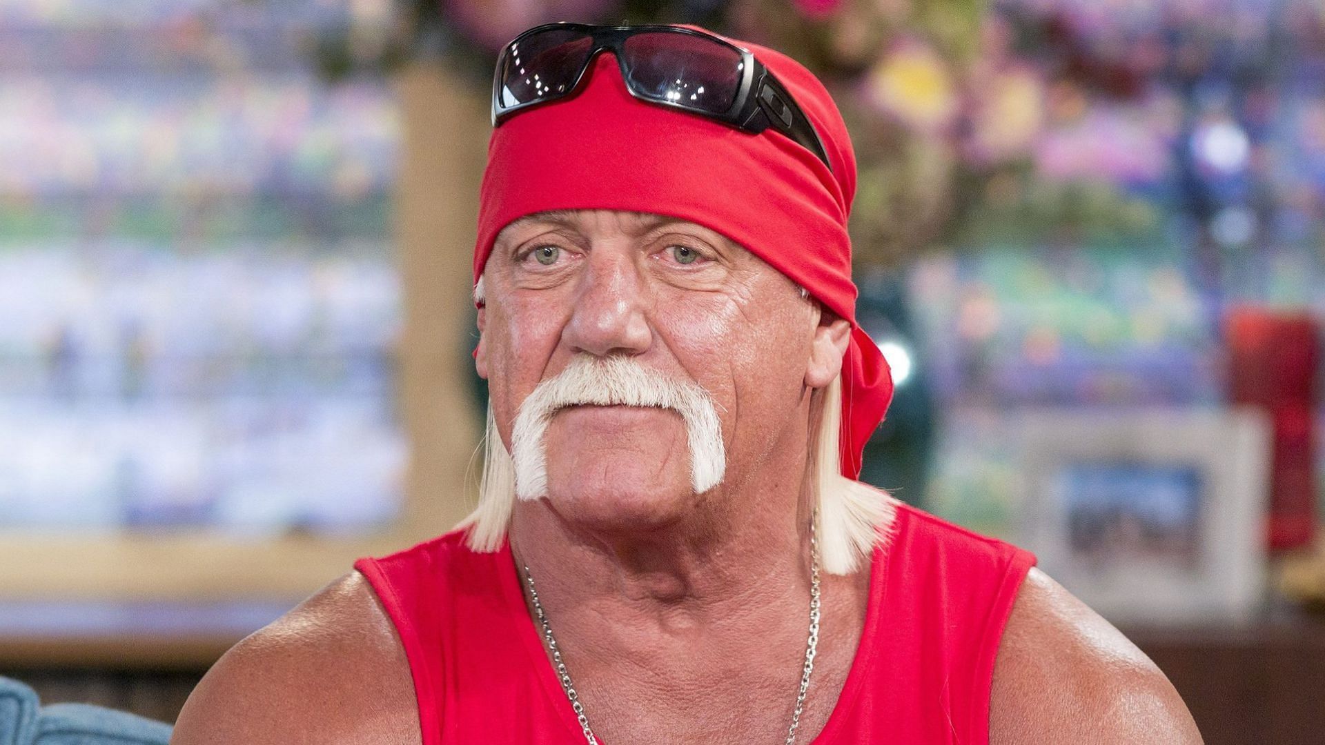 CM Punk has not held back from criticizing Hogan