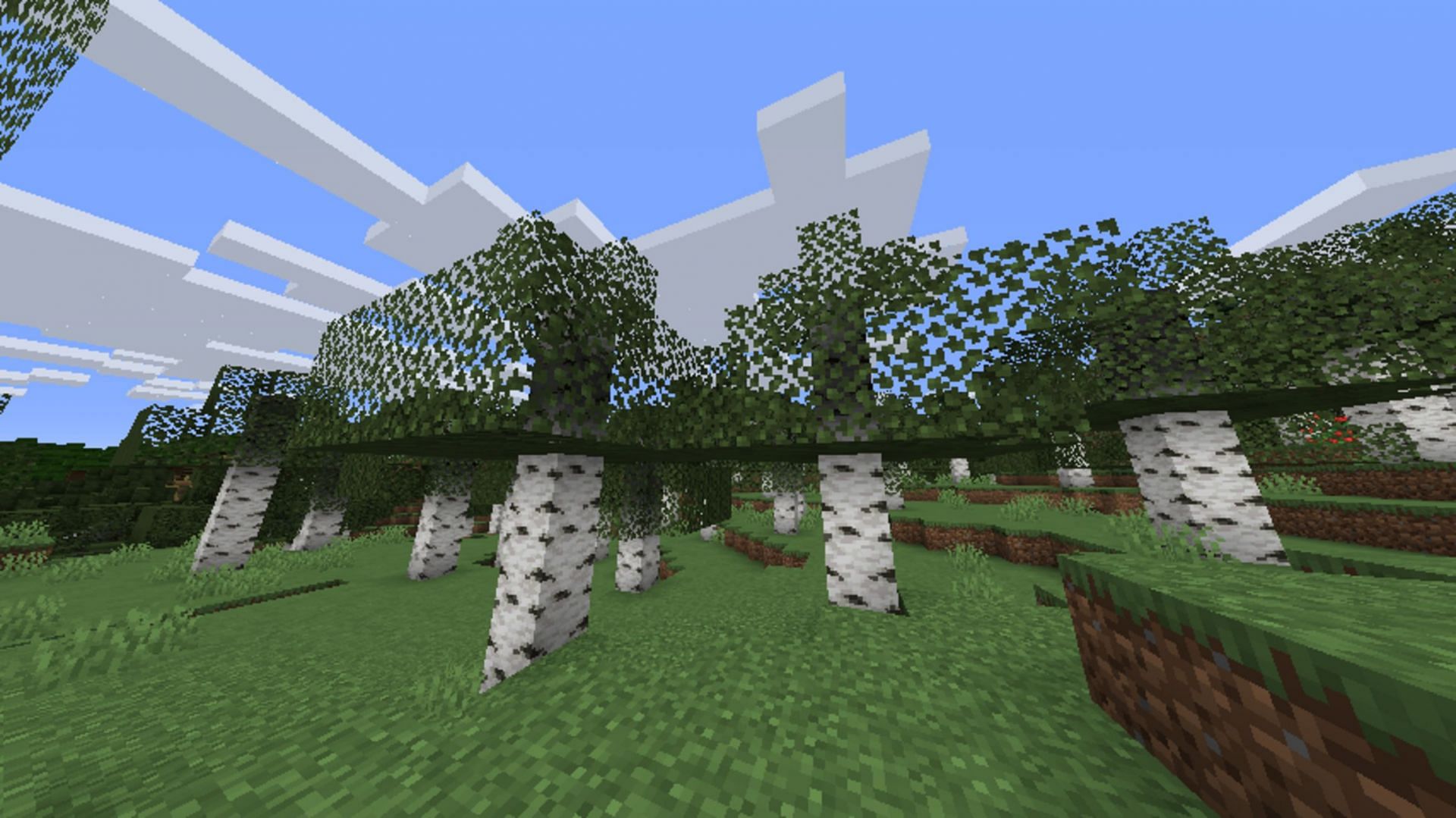 Cull Leaves cuts down on the depth of leaf blocks, which should improve rendering performance (Image via Motschen/CurseForge)