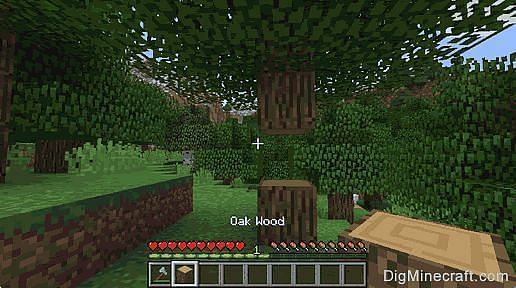 oak wood in Minecraft