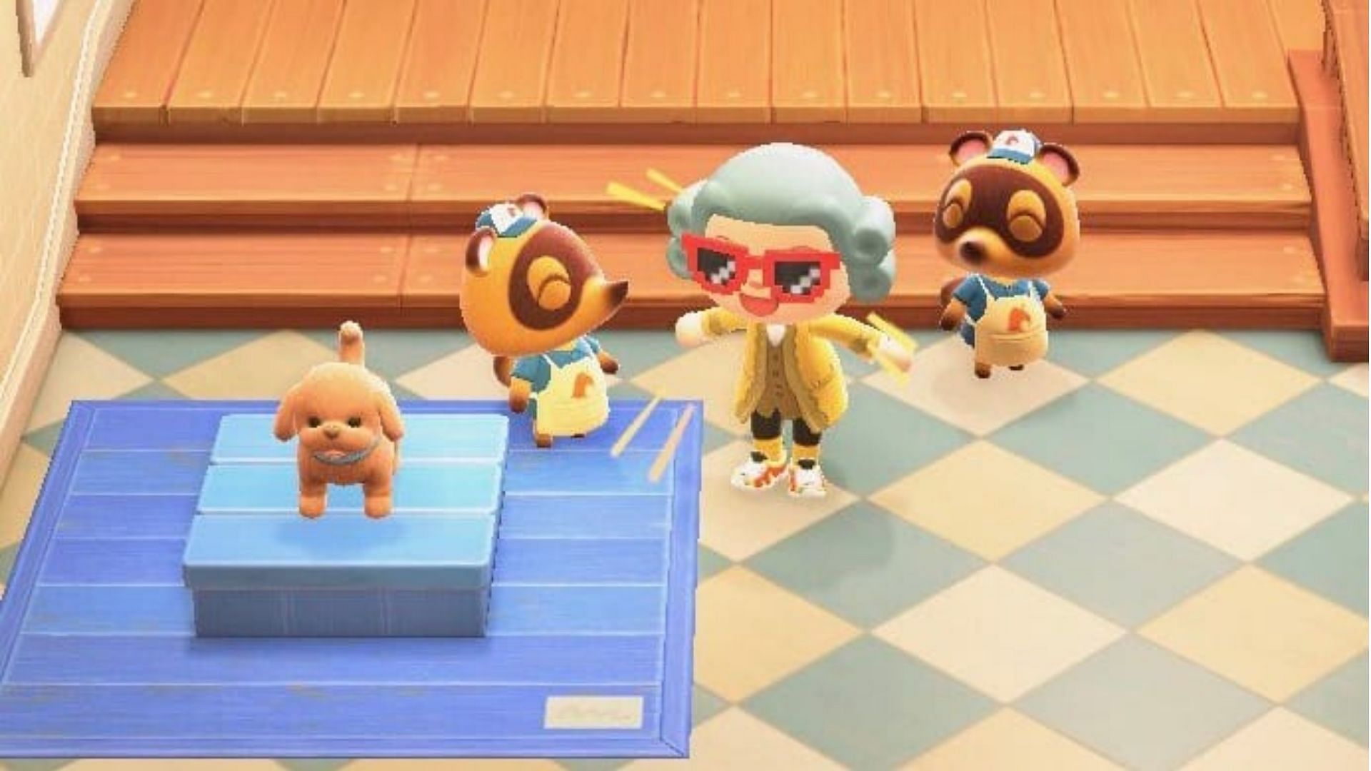 Animal Crossing: New Horizons players have devised a method to get pets in the game (Image via Twinfinite)