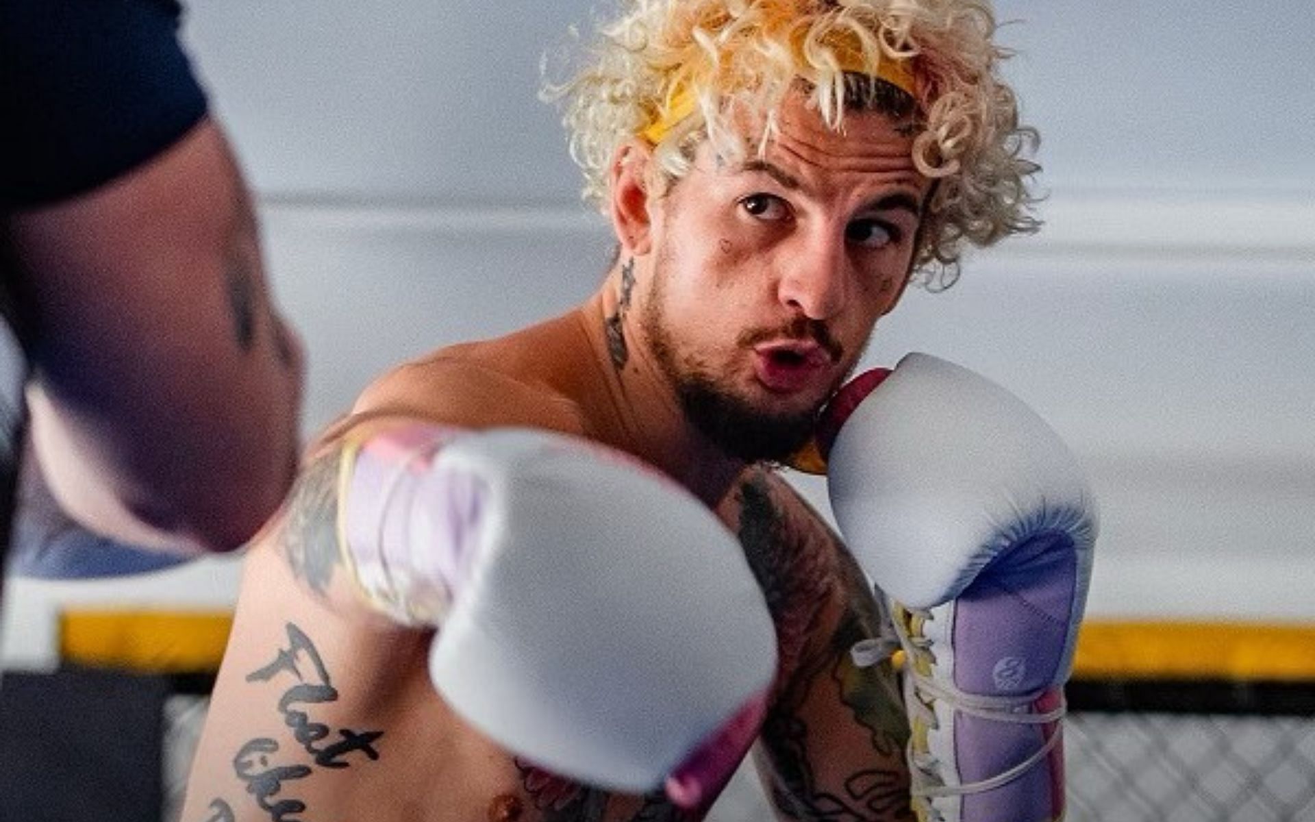 Sean O&#039;Malley talks about boxing transition [Photo credit: @sugaseanmma on Instagram]