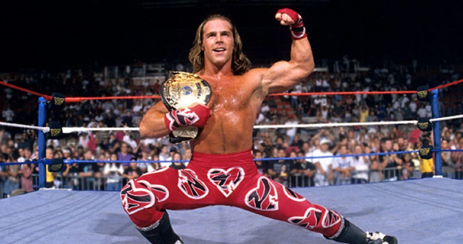 Shawn Michaels as the WWE Champion