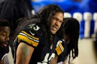 Troy Polamalu vs. Baltimore Ravens