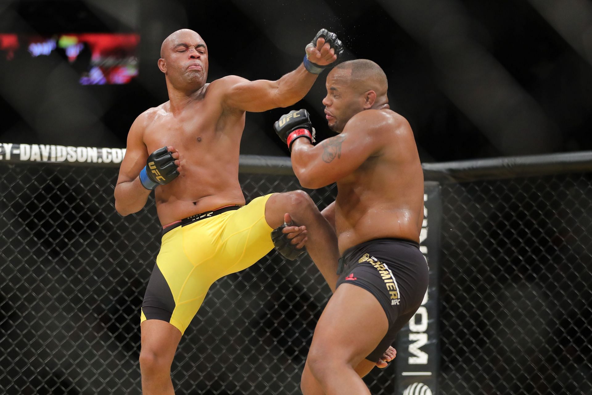 The great Anderson Silva fought for gold in his second octagon appearance