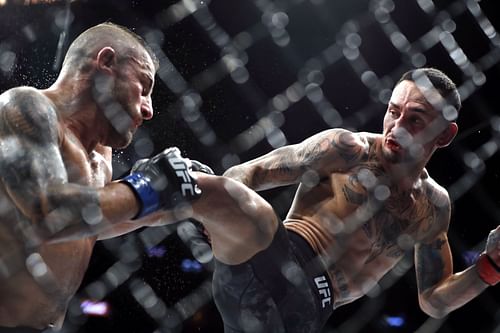 Max Holloway v Alexander Volkanovski, Alexander Volkanovski (left), Max Holloway (right)