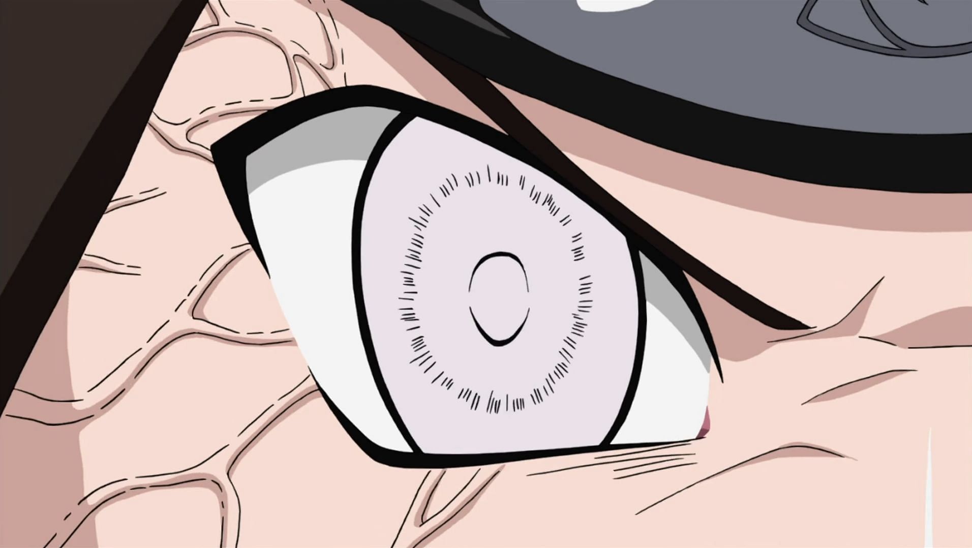 The Byakugan eye (Image via Masashi Kishimoto/Shueisha, Viz, Naruto)