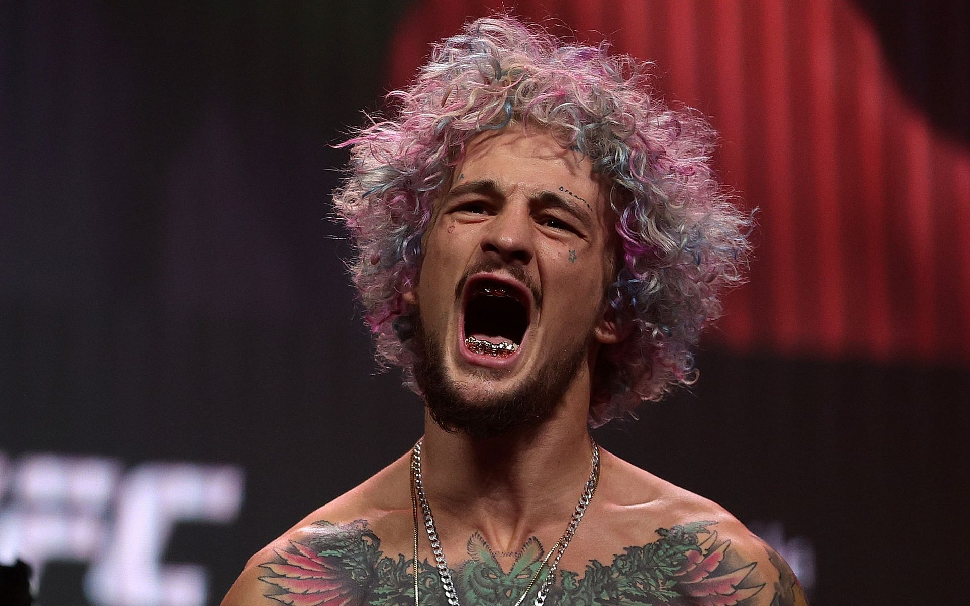 Sean O&#039;Malley is regarded as one of the best strikers in MMA today